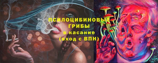 герыч Ладушкин