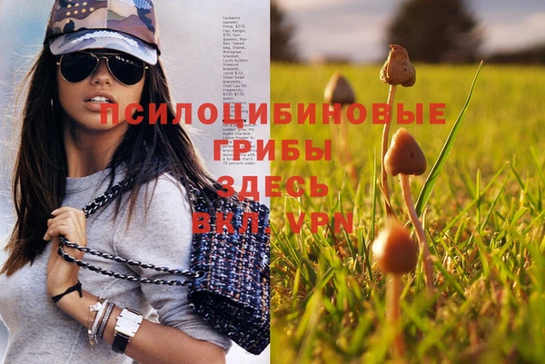герыч Ладушкин