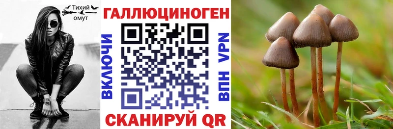 Псилоцибиновые грибы Psilocybine cubensis  Купить  Карпинск 